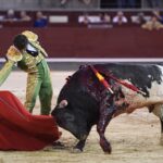 Madrid, domingo 1 de septiembre de 2019