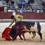 Madrid, domingo 1 de septiembre de 2019