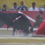 Arles (Francia), 7 de septiembre. Toros de distintas ganaderías para Enrique Ponce y Juan Bautista