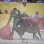 Arles (Francia), 7 de septiembre. Toros de distintas ganaderías para Enrique Ponce y Juan Bautista