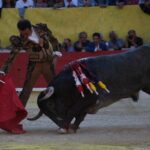 Arles (Francia), 7 de septiembre. Toros de distintas ganaderías para Enrique Ponce y Juan Bautista