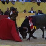 Arles (Francia), 7 de septiembre. Toros de distintas ganaderías para Enrique Ponce y Juan Bautista