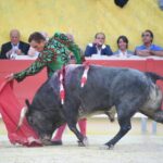 Arles (Francia), 7 de septiembre. Toros de distintas ganaderías para Enrique Ponce y Juan Bautista