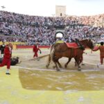 Arles (Francia), 7 de septiembre. Toros de distintas ganaderías para Enrique Ponce y Juan Bautista