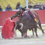Arles (Francia), 7 de septiembre. Toros de distintas ganaderías para Enrique Ponce y Juan Bautista