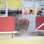Arles (Francia), 7 de septiembre. Toros de distintas ganaderías para Enrique Ponce y Juan Bautista