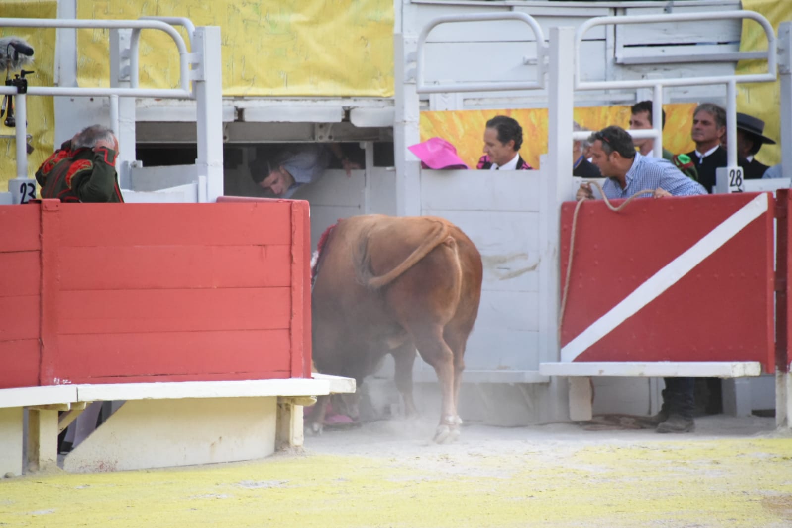 Arles (Francia), 7 de septiembre. Toros de distintas ganaderías para Enrique Ponce y Juan Bautista