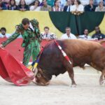 Arles (Francia), 7 de septiembre. Toros de distintas ganaderías para Enrique Ponce y Juan Bautista