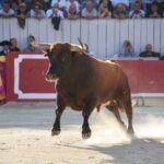 Arles, domingo 8 de septiembre de 2019