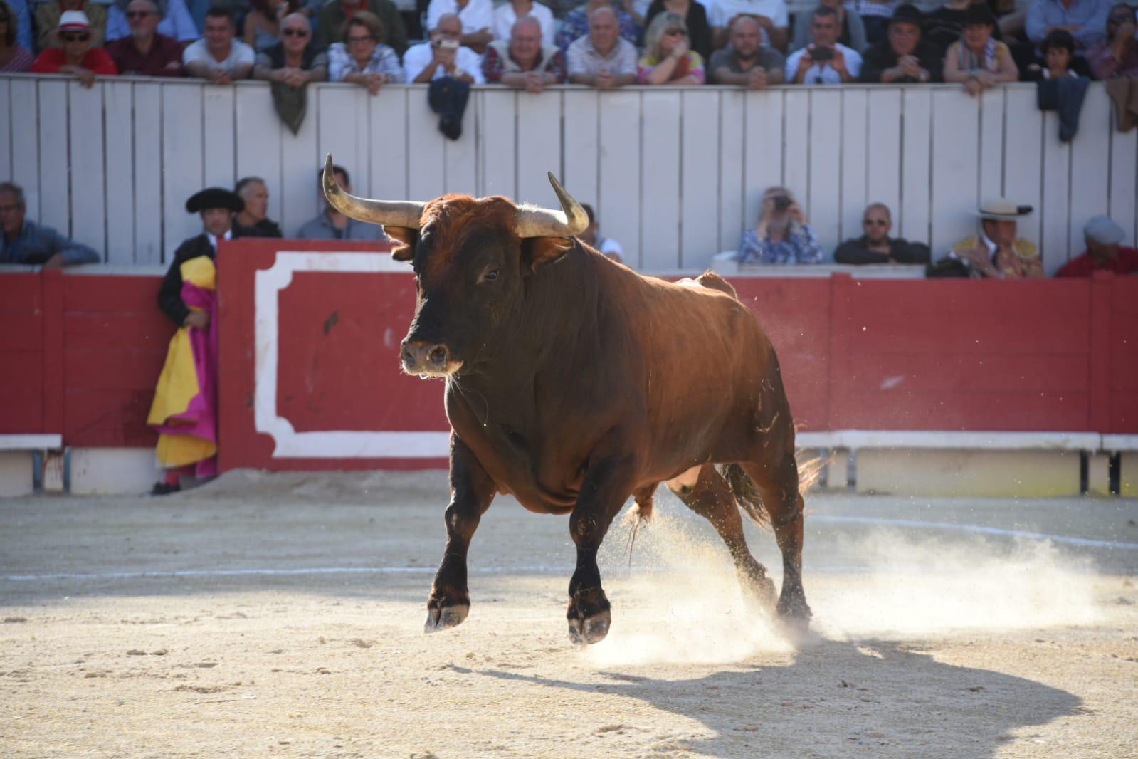 Arles, domingo 8 de septiembre de 2019