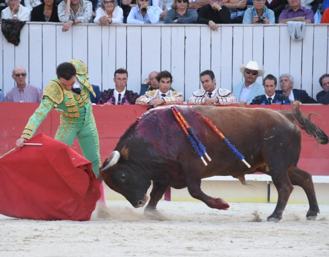Arles, domingo 8 de septiembre de 2019