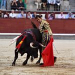 Madrid, domingo 8 de septiembre de 2019