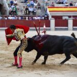 Madrid, domingo 8 de septiembre de 2019
