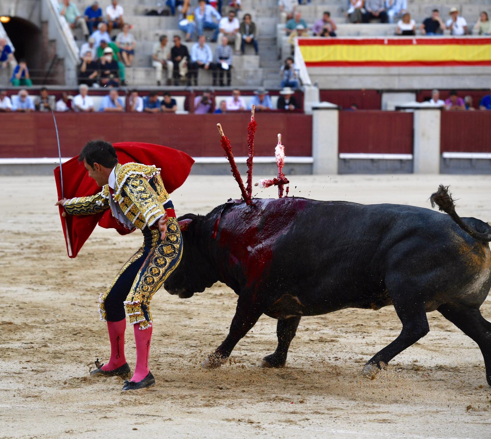 Madrid, domingo 8 de septiembre de 2019