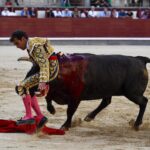 Madrid, domingo 8 de septiembre de 2019