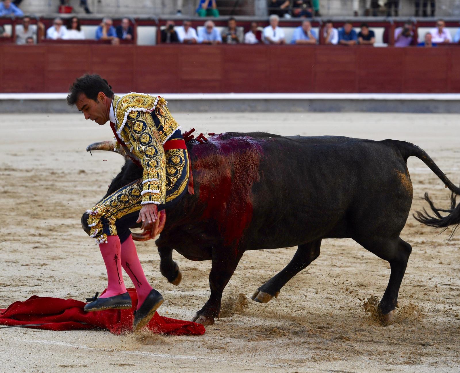 Madrid, domingo 8 de septiembre de 2019