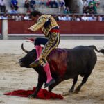 Madrid, domingo 8 de septiembre de 2019