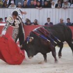 Arles, domingo 8 de septiembre de 2019