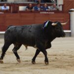 Madrid, domingo 8 de septiembre de 2019