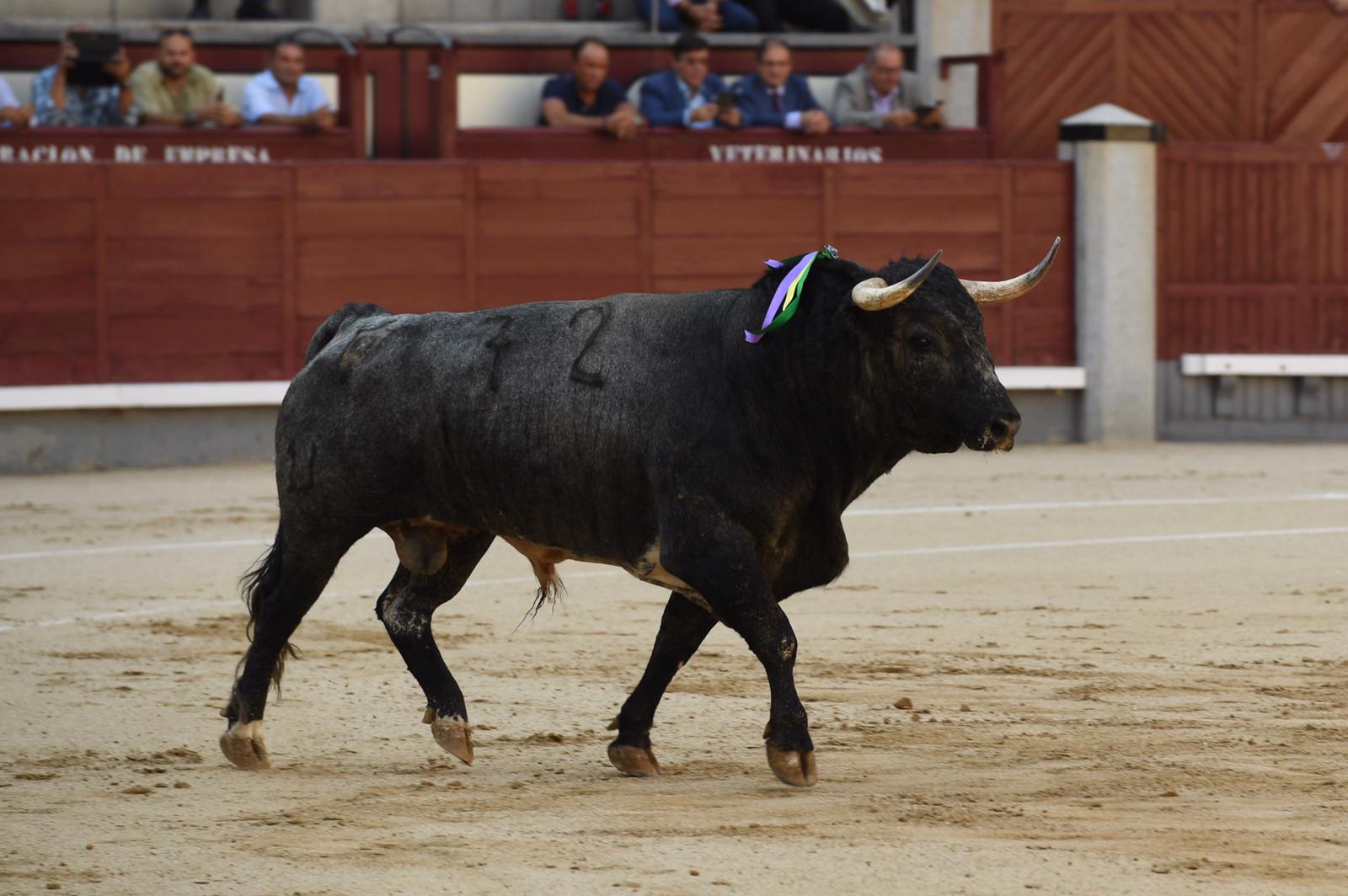 Madrid, domingo 8 de septiembre de 2019
