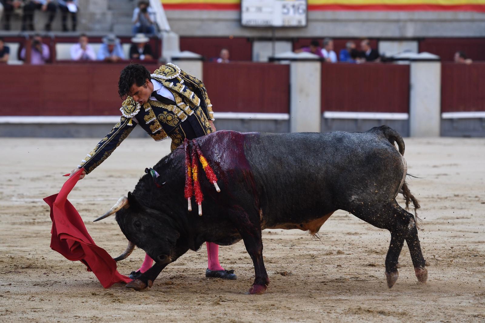 Madrid, domingo 8 de septiembre de 2019