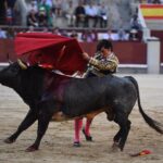 Madrid, domingo 8 de septiembre de 2019