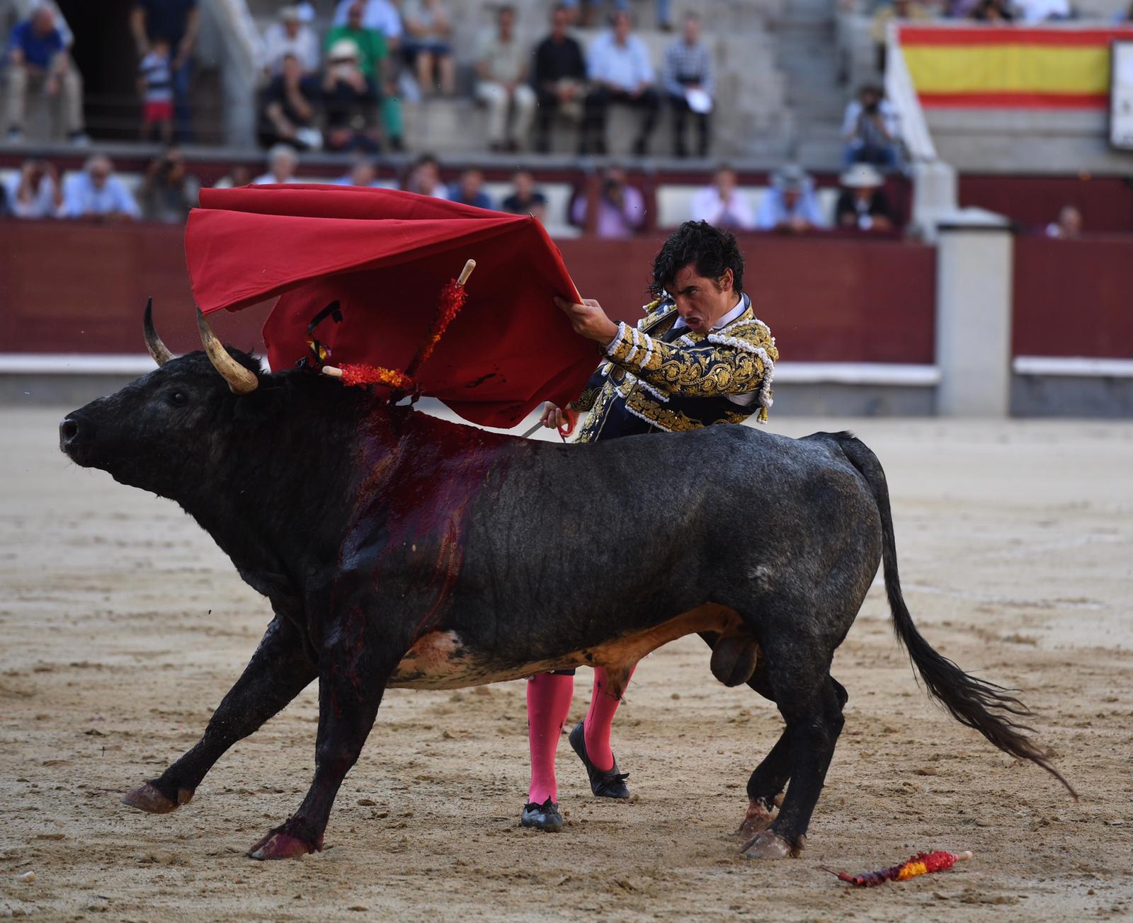 Madrid, domingo 8 de septiembre de 2019