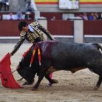 Madrid, domingo 8 de septiembre de 2019