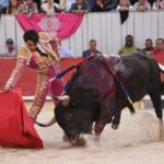 Arles, domingo 8 de septiembre de 2019