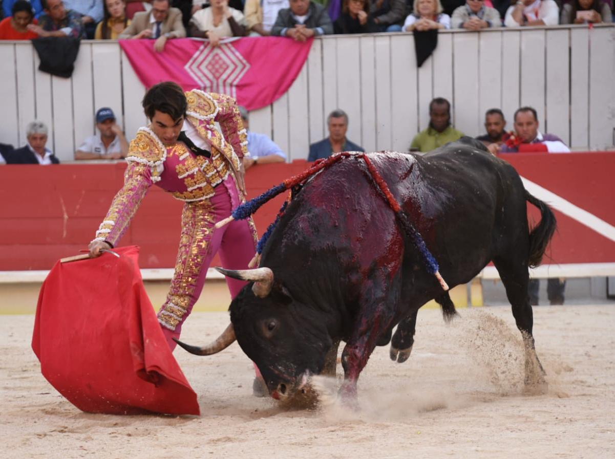 Arles, domingo 8 de septiembre de 2019