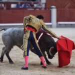 Madrid, domingo 8 de septiembre de 2019