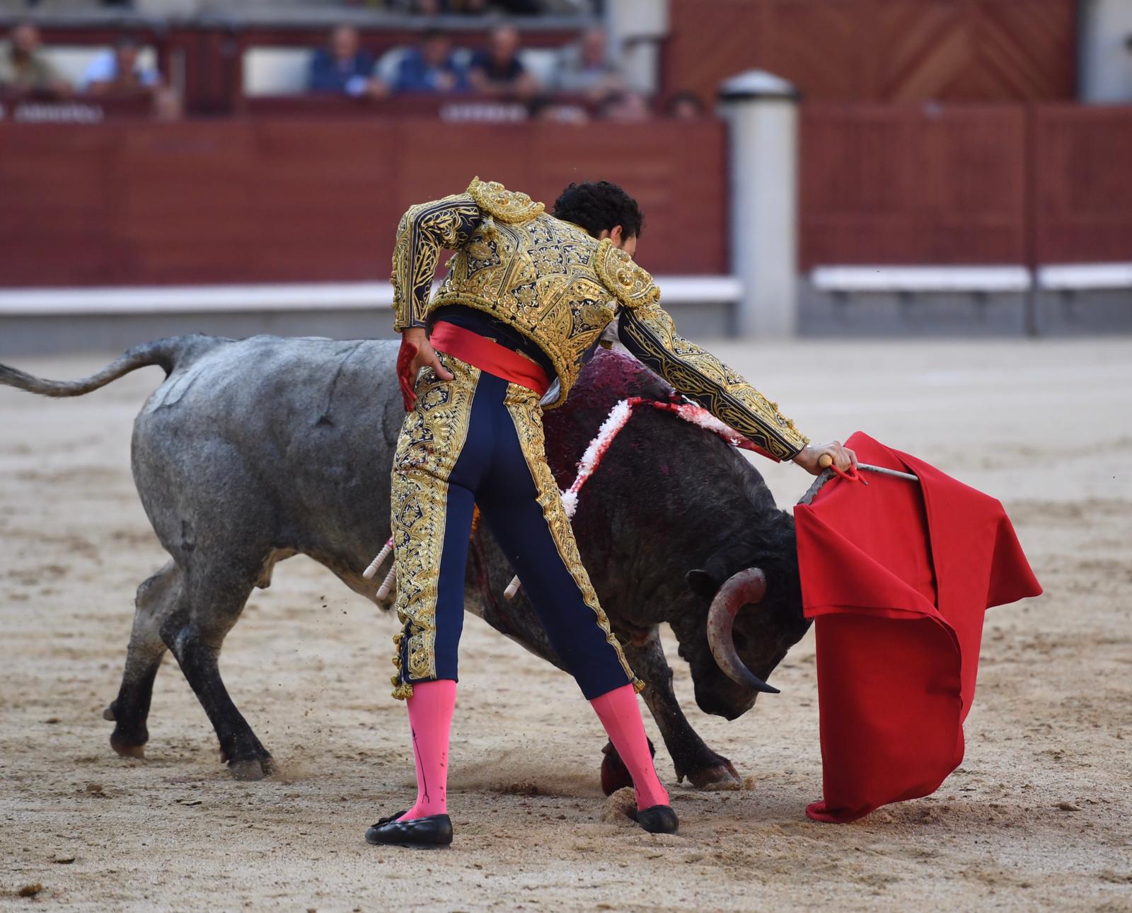 Madrid, domingo 8 de septiembre de 2019
