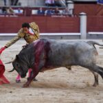 Madrid, domingo 8 de septiembre de 2019