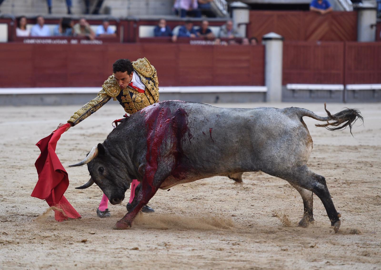 Madrid, domingo 8 de septiembre de 2019