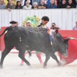 Arles, domingo 8 de septiembre de 2019