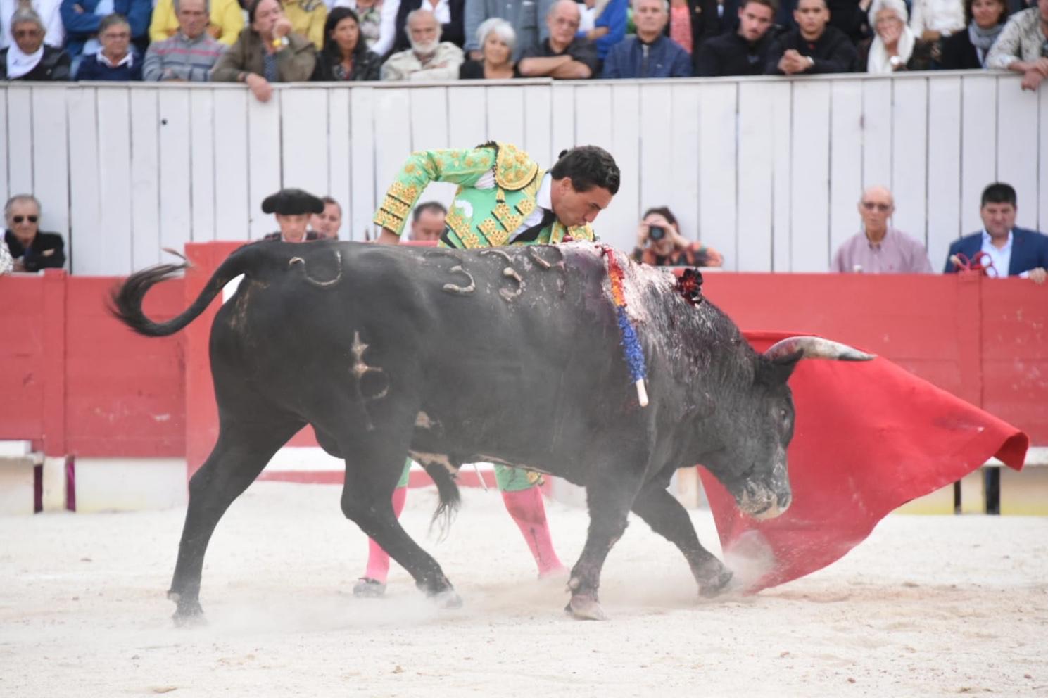 Arles, domingo 8 de septiembre de 2019