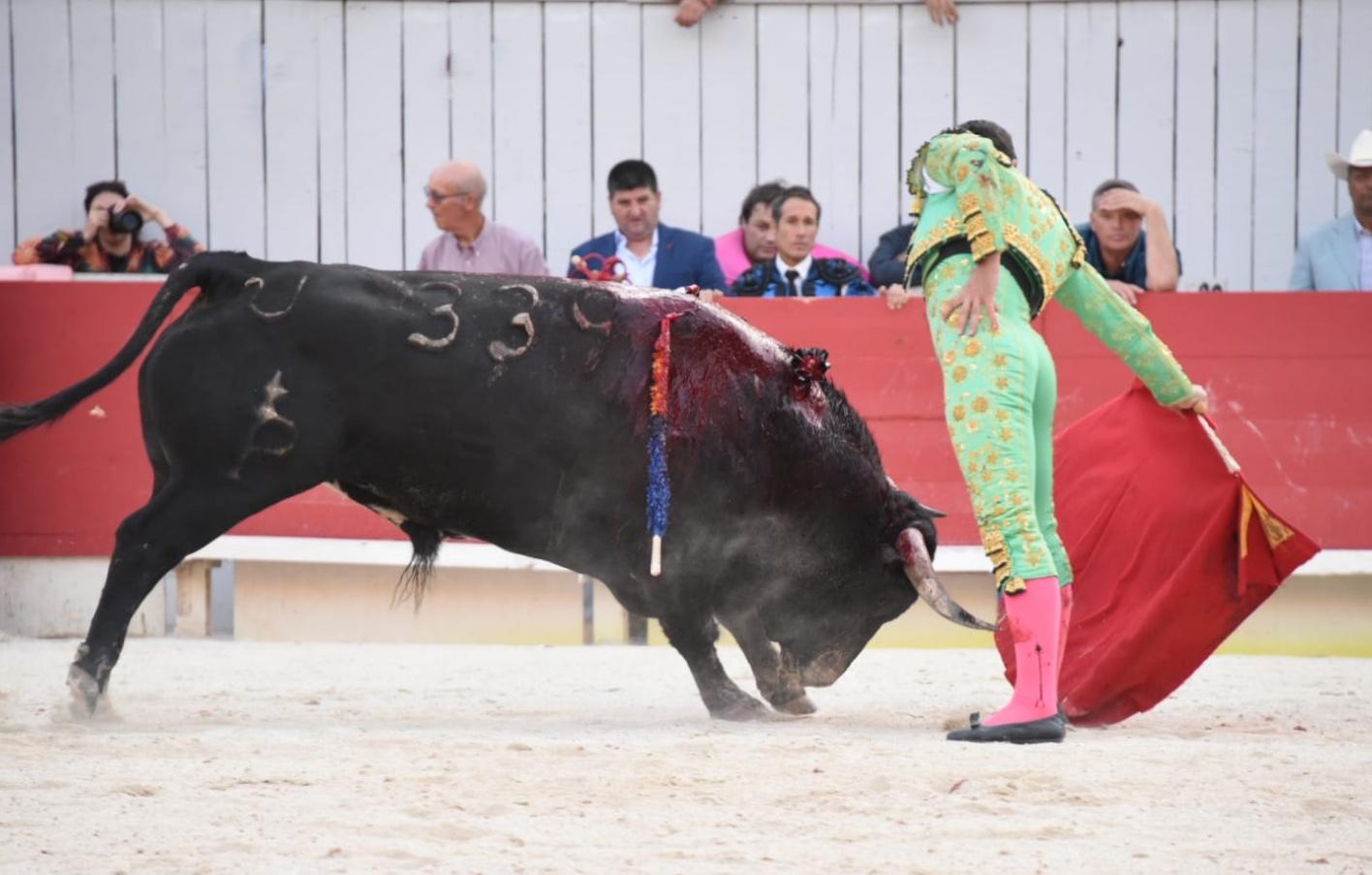 Arles, domingo 8 de septiembre de 2019