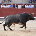 Madrid, domingo 8 de septiembre de 2019