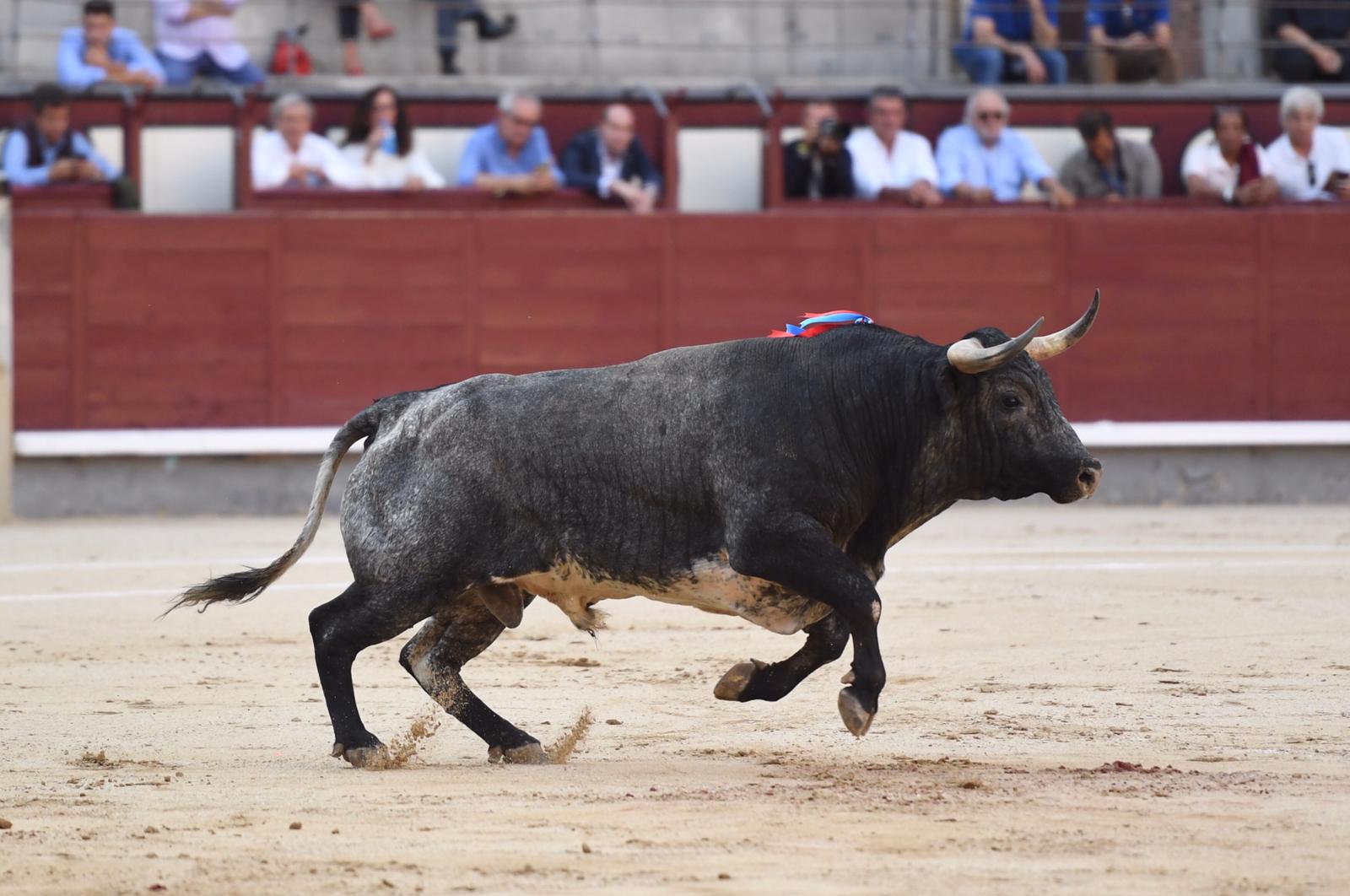 Madrid, domingo 8 de septiembre de 2019