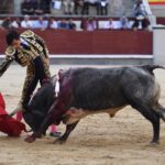 Madrid, domingo 8 de septiembre de 2019