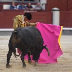 Madrid, domingo 8 de septiembre de 2019