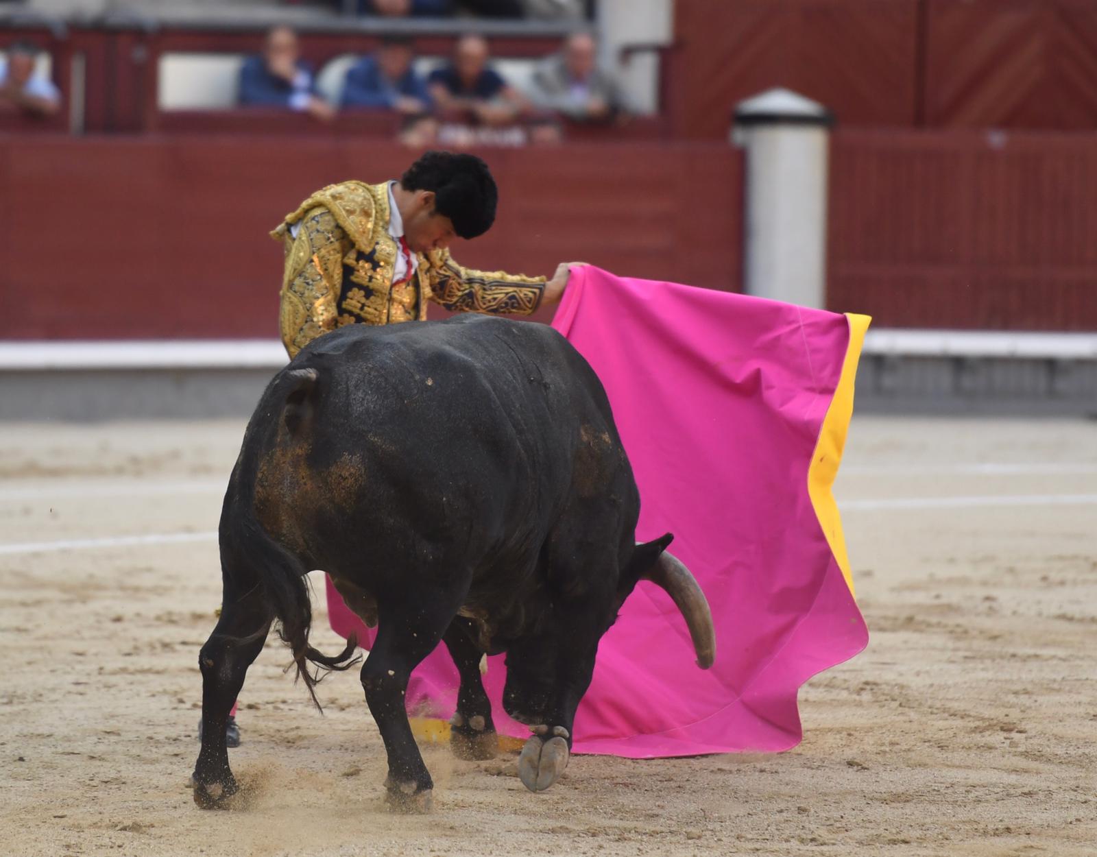 Madrid, domingo 8 de septiembre de 2019