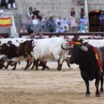 Madrid, domingo 8 de septiembre de 2019