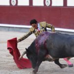 Madrid, domingo 8 de septiembre de 2019