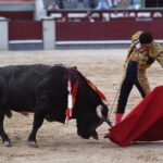 Madrid, domingo 8 de septiembre de 2019