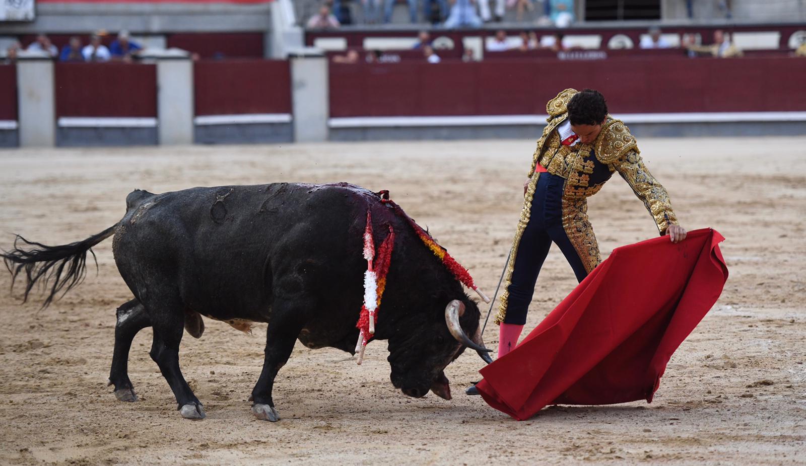 Madrid, domingo 8 de septiembre de 2019