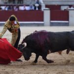 Madrid, domingo 8 de septiembre de 2019