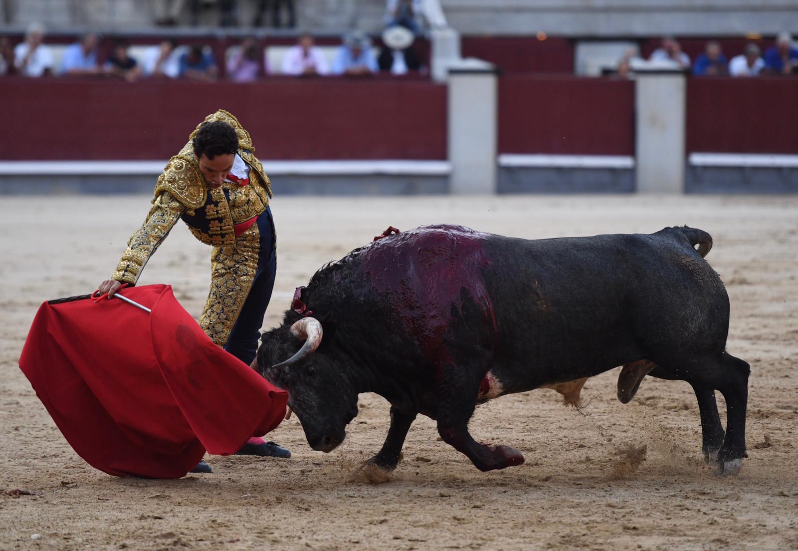 Madrid, domingo 8 de septiembre de 2019