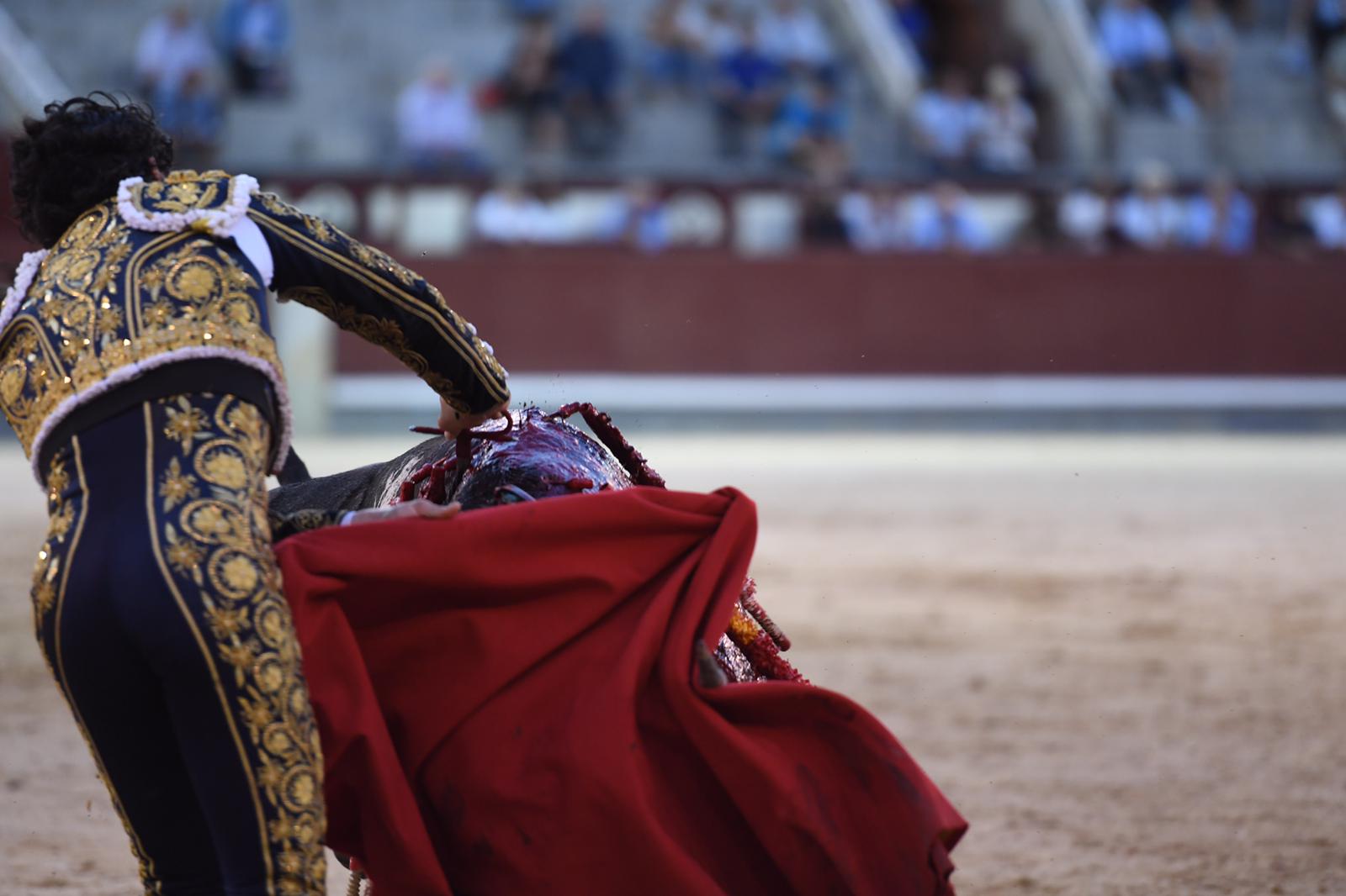 Madrid, domingo 8 de septiembre de 2019