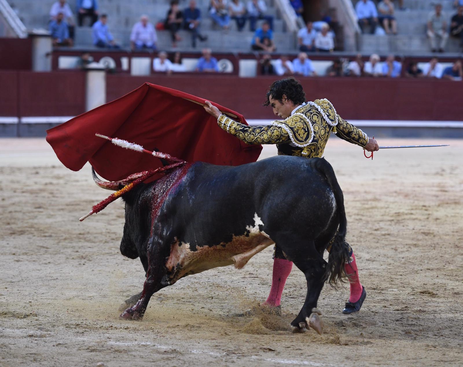 Madrid, domingo 8 de septiembre de 2019